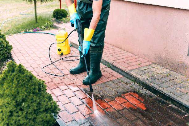 Best Gutter Cleaning  in Frederic, WI
